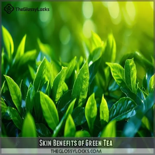 Skin Benefits of Green Tea