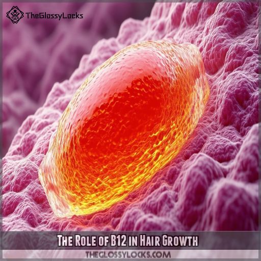 The Role of B12 in Hair Growth