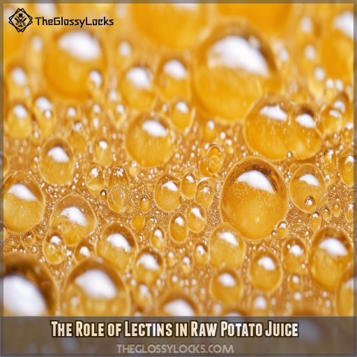 The Role of Lectins in Raw Potato Juice