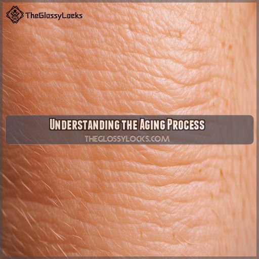 Understanding the Aging Process