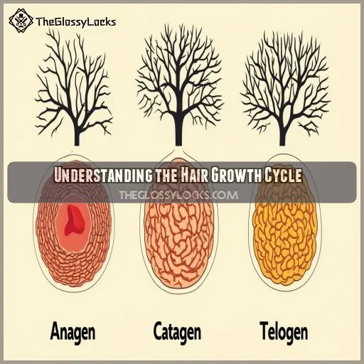 Understanding the Hair Growth Cycle