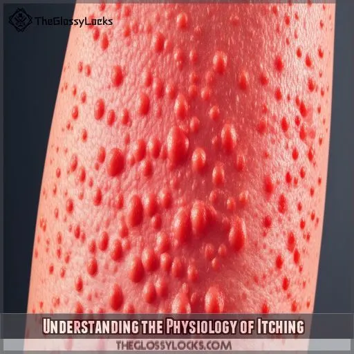 Understanding the Physiology of Itching