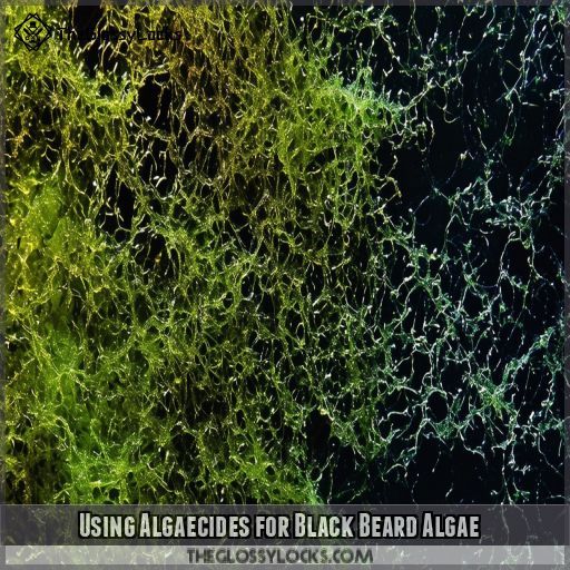 Using Algaecides for Black Beard Algae