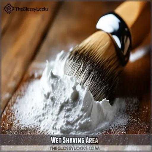 Wet Shaving Area