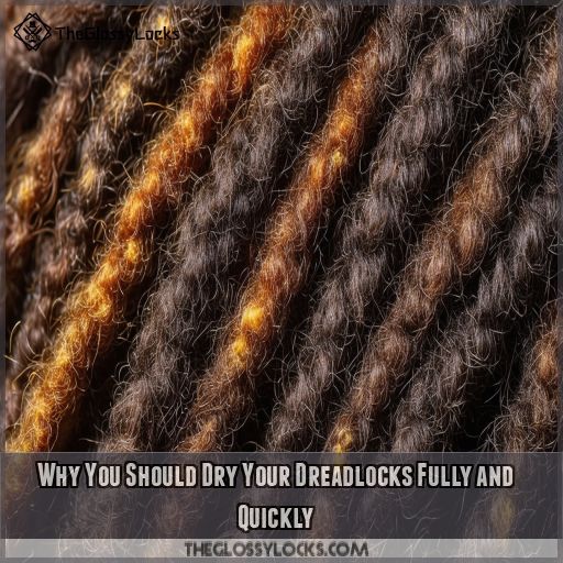 Why You Should Dry Your Dreadlocks Fully and Quickly