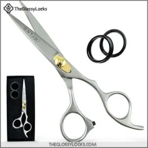 6.5 Hair Cutting Scissors -