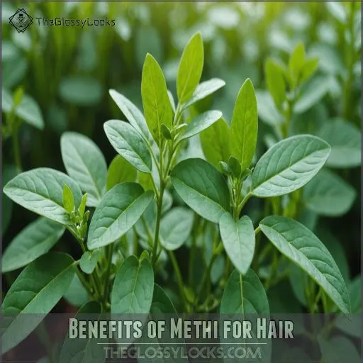 Benefits of Methi for Hair