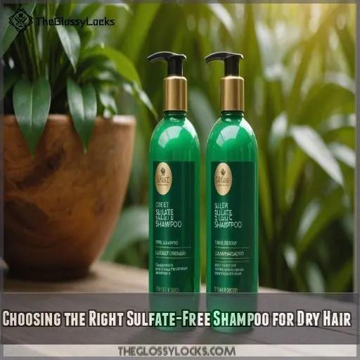 Choosing the Right Sulfate-Free Shampoo for Dry Hair