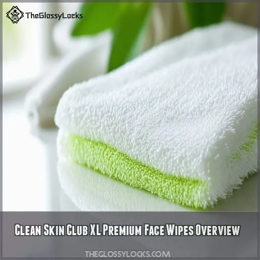 Clean Skin Club XL Premium Face Wipes Overview