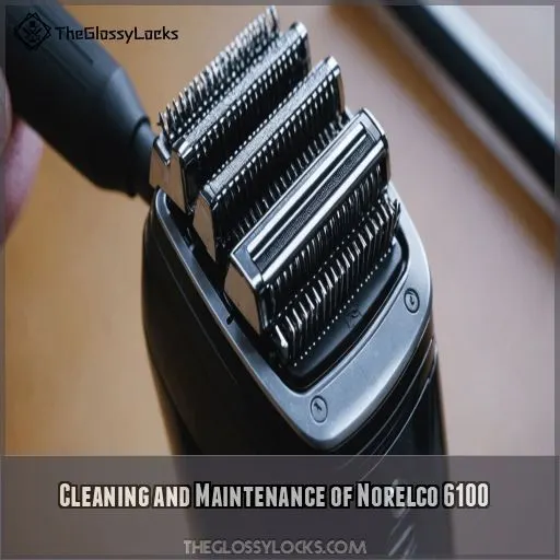 Cleaning and Maintenance of Norelco 6100