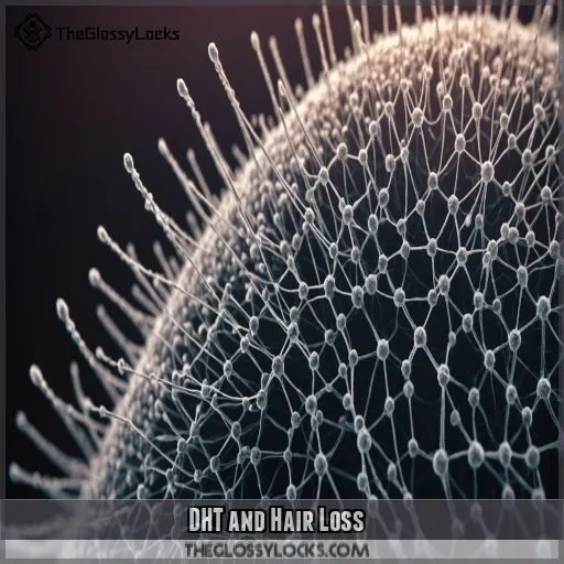 DHT and Hair Loss