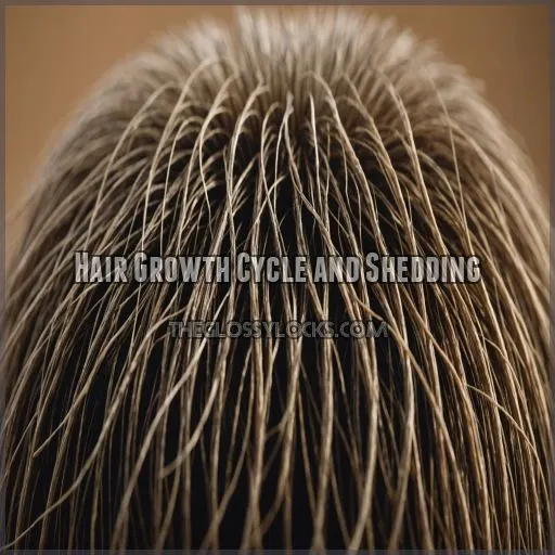 Hair Growth Cycle and Shedding