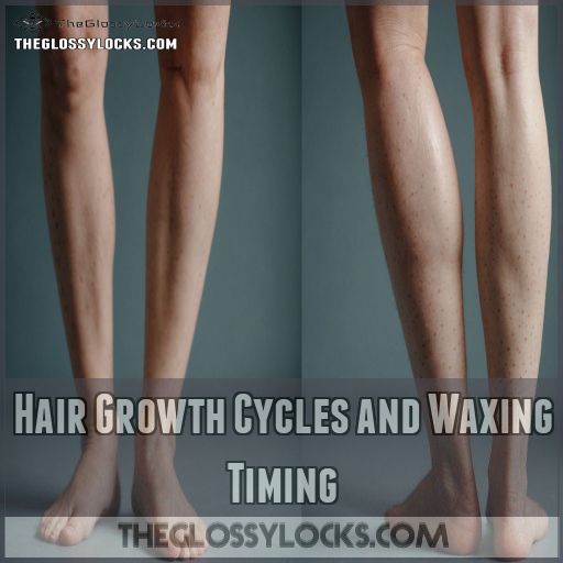 Hair Growth Cycles and Waxing Timing