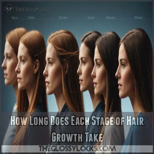 How Long Does Each Stage of Hair Growth Take