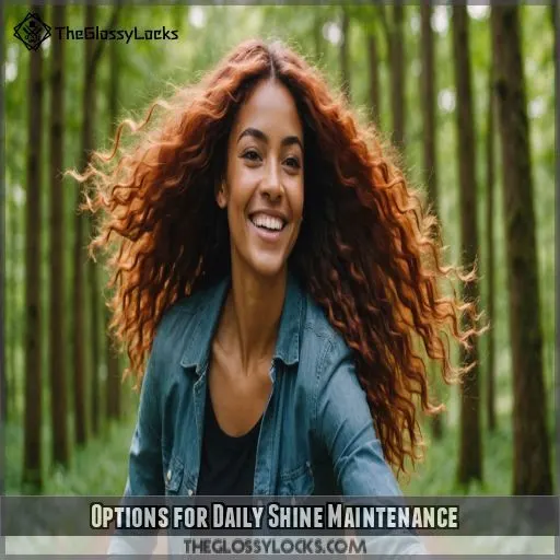 Options for Daily Shine Maintenance