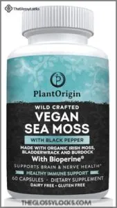 Organic Vegan Wildcrafted Sea Moss