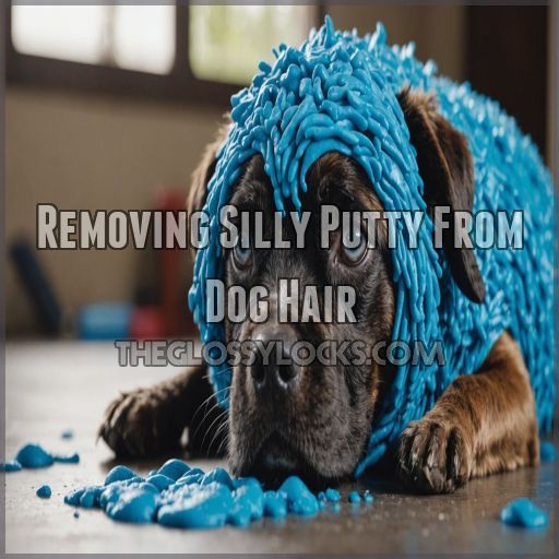 Removing Silly Putty From Dog Hair