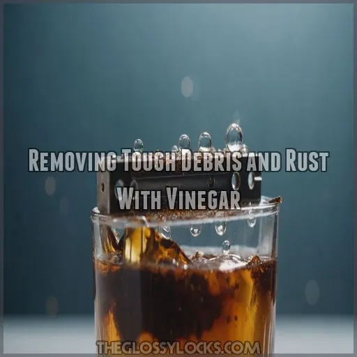 Removing Tough Debris and Rust With Vinegar