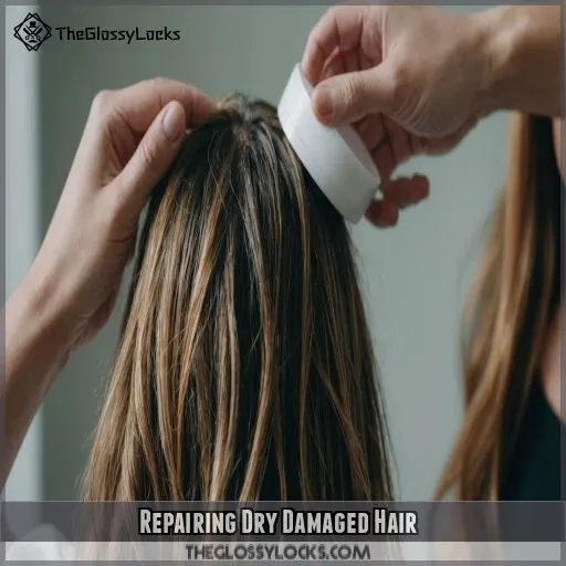 Repairing Dry Damaged Hair