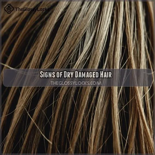 Signs of Dry Damaged Hair