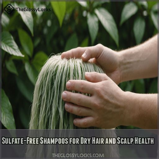 Sulfate-Free Shampoos for Dry Hair and Scalp Health