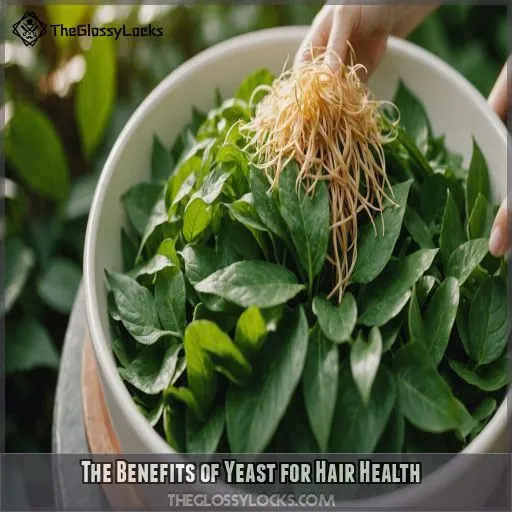 The Benefits of Yeast for Hair Health