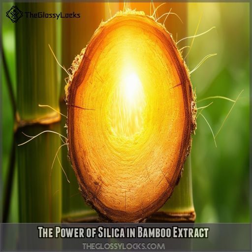 The Power of Silica in Bamboo Extract