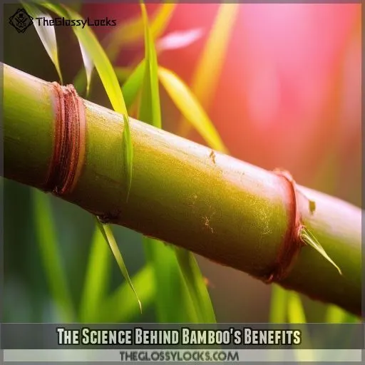 The Science Behind Bamboo's Benefits