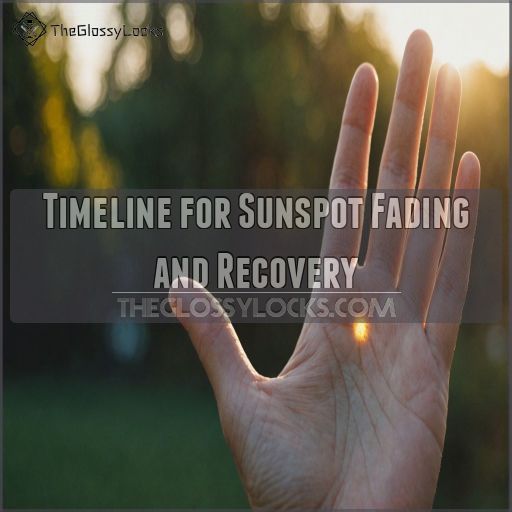 Timeline for Sunspot Fading and Recovery