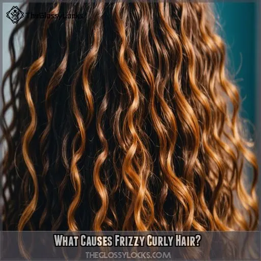 What Causes Frizzy Curly Hair