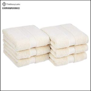 Amazon Basics Egyptian Cotton Hand