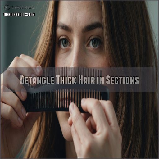 Detangle Thick Hair in Sections