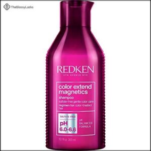 Redken Color Extend Magnetics Shampoo