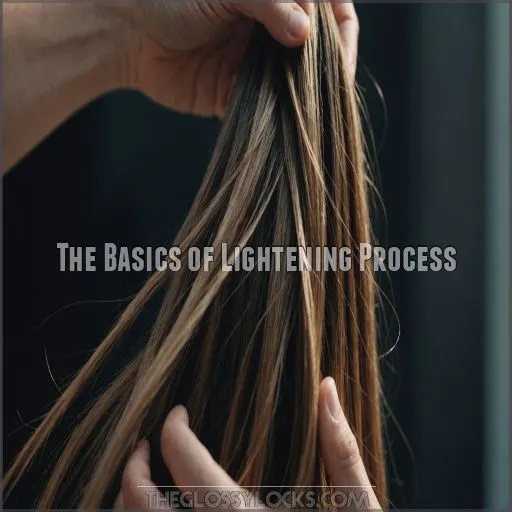 The Basics of Lightening Process