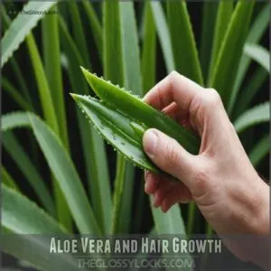 Aloe Vera and Hair Growth