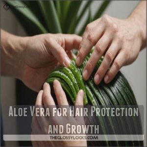 Aloe Vera for Hair Protection and Growth