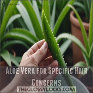 Aloe Vera for Specific Hair Concerns