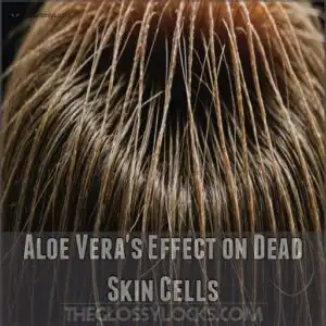 Aloe Vera's Effect on Dead Skin Cells Aloe Vera's Effect on Dead Skin Cells