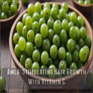 Amla: Stimulating Hair Growth With Vitamin C