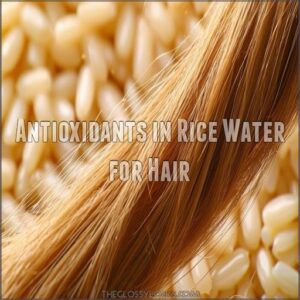 Antioxidants in Rice Water for Hair