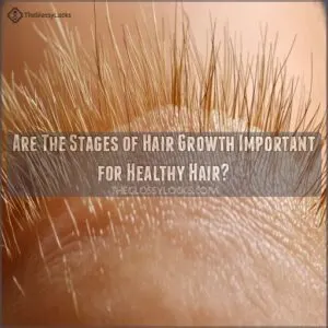 are the stages of hair growth