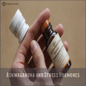 Ashwagandha and Stress Hormones