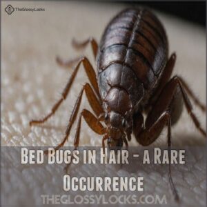 Bed Bugs in Hair - a Rare Occurrence