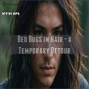 Bed Bugs in Hair - a Temporary Detour