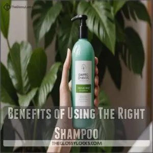 Benefits of Using The Right Shampoo