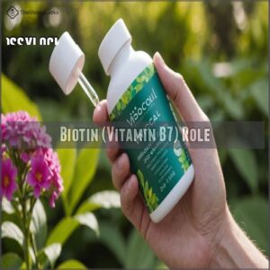 Biotin (Vitamin B7) Role