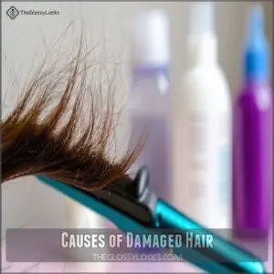 Causes of Damaged Hair