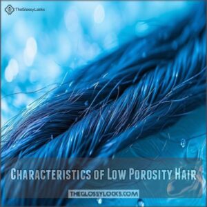 Characteristics of Low Porosity Hair Characteristics of Low Porosity Hair