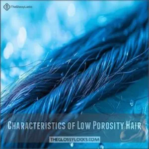 Characteristics of Low Porosity Hair