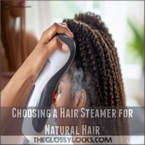 Choosing a Hair Steamer for Natural Hair